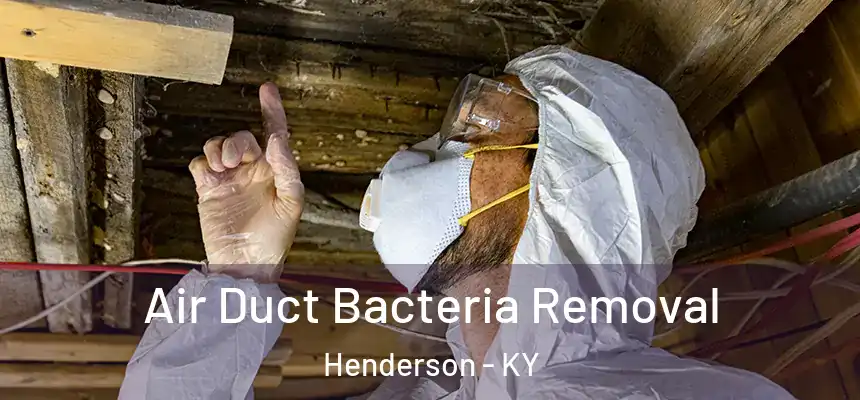  Air Duct Bacteria Removal Henderson - KY