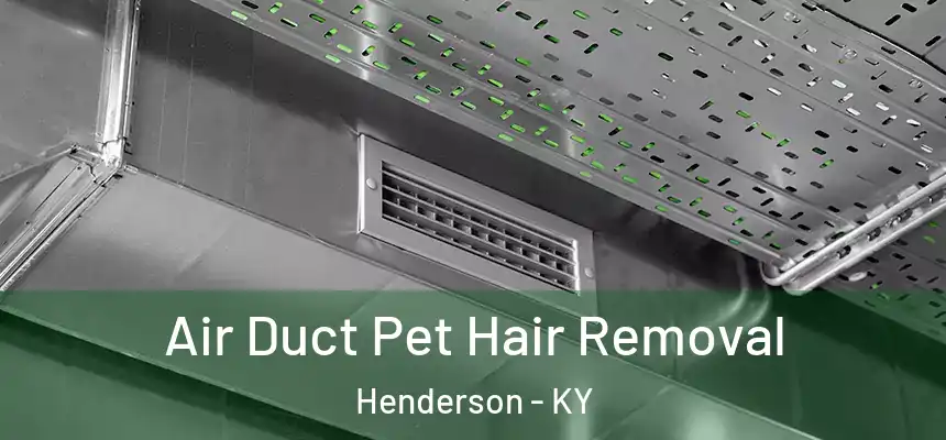 Air Duct Pet Hair Removal Henderson - KY