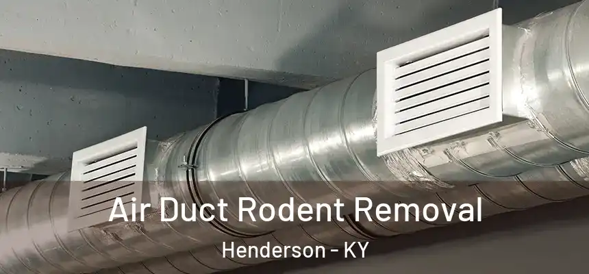  Air Duct Rodent Removal Henderson - KY