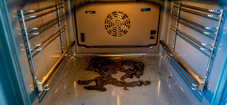 Our Dryer Vent Mold Cleaning Services in Henderson, KY