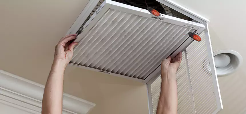 Our Insect Removal from Air Ducts Services in Henderson, KY
