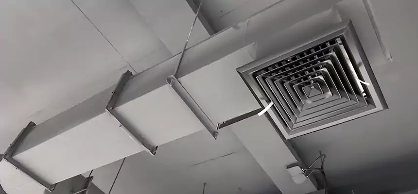 Our Pest Removal From Ducts Services in Henderson, KY