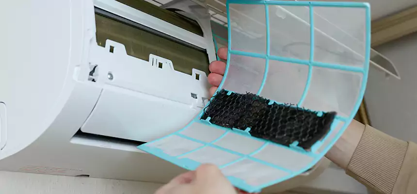 Gentle Ductwork Odor-Control Pet Dander Duct Cleaning in Henderson, KY