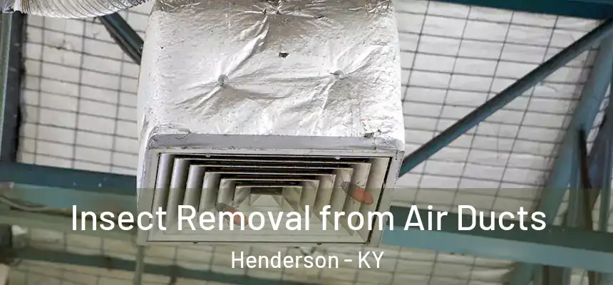  Insect Removal from Air Ducts Henderson - KY