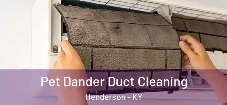 Pet Dander Duct Cleaning Henderson - KY