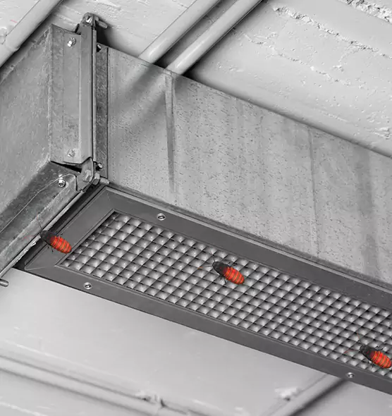 About Air Duct Cockroach Removal in Henderson, KY