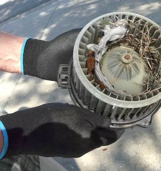 About Air Duct Rat Removal in Henderson, KY