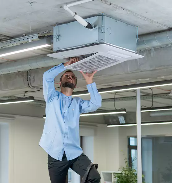 Advanced Rodent Droppings In Vents in Henderson, KY