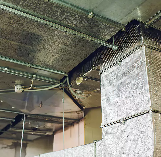 Why Homeowners & Businesses Trust Us in Henderson, KY?